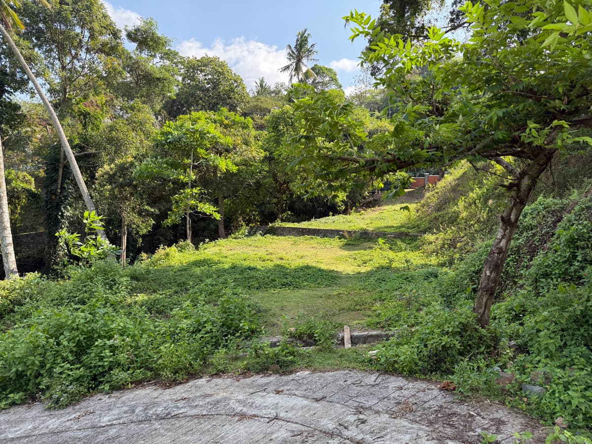 Hillside Oceanview