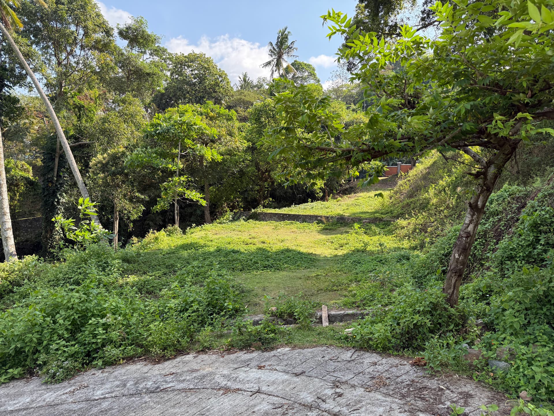 Hillside Oceanview