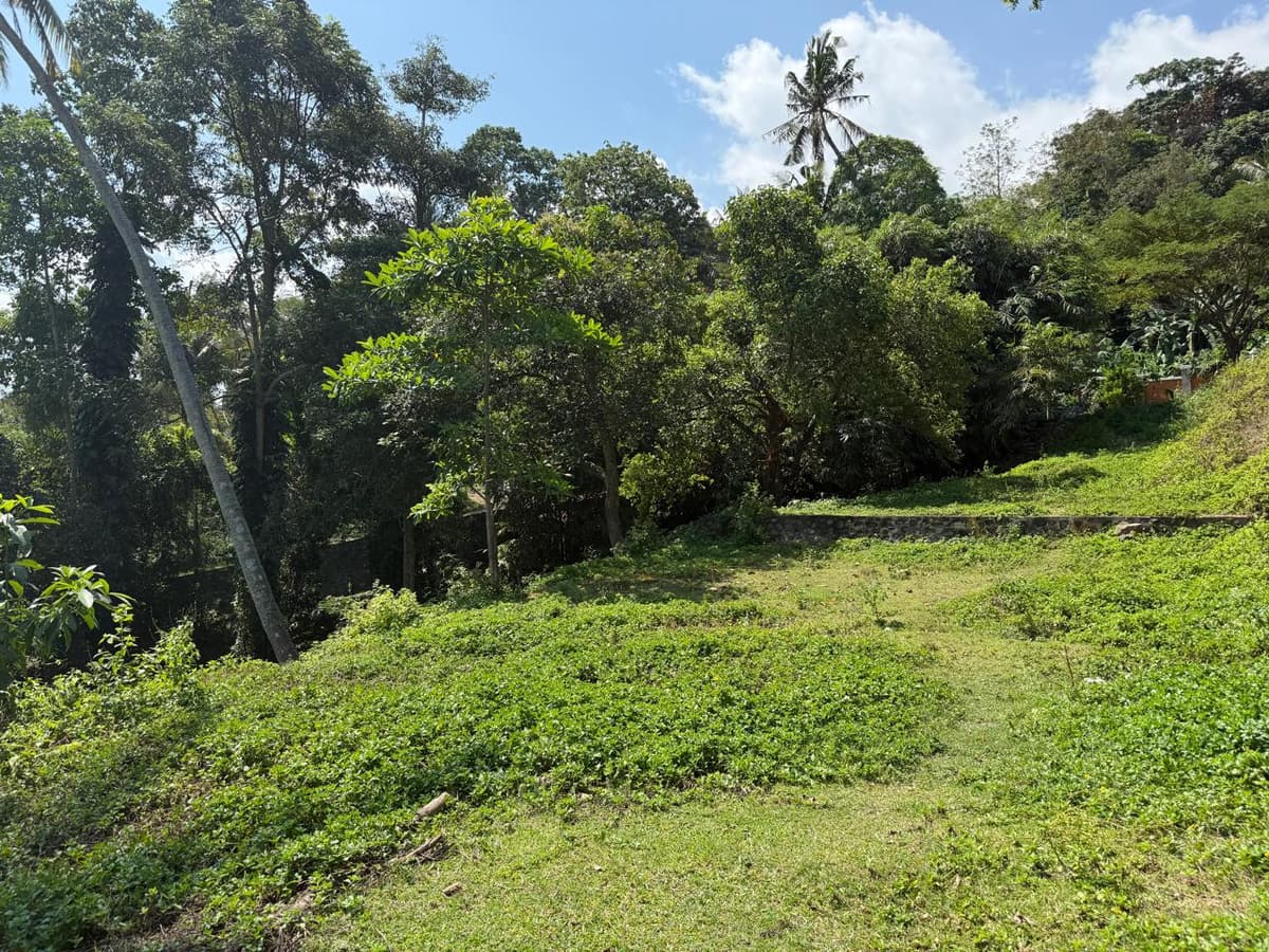 Hillside Oceanview Plots